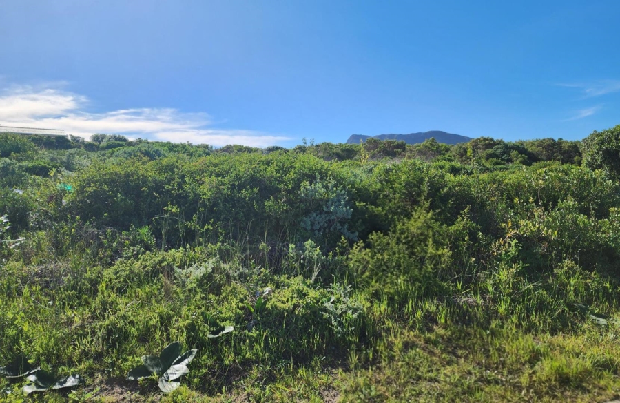Commercial Property for Sale in Kleinbaai Western Cape